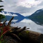 Lake Crescent - a deep crater lake in Olympic National Park