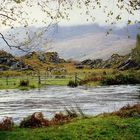 Lake District, nahe Killarney, Co. Kerry