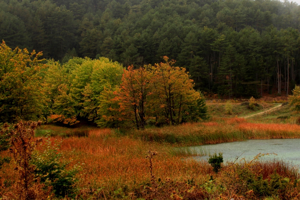 Lake "Doxa", Korinthos district, Greece