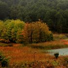 Lake "Doxa", Korinthos district, Greece