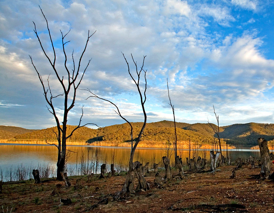 Lake Eildon