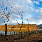 Lake Eildon