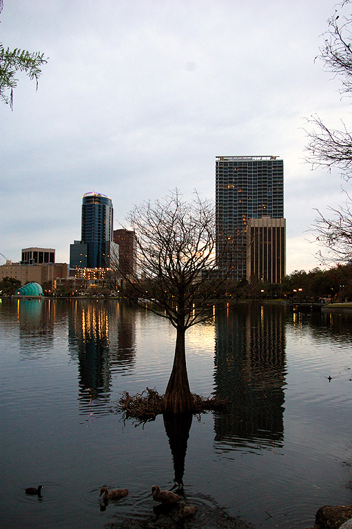 Lake Eola