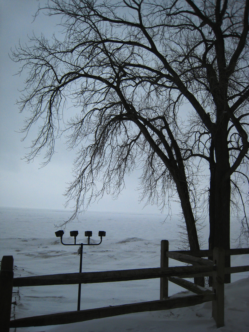 Lake Erie Winter