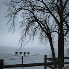 Lake Erie Winter