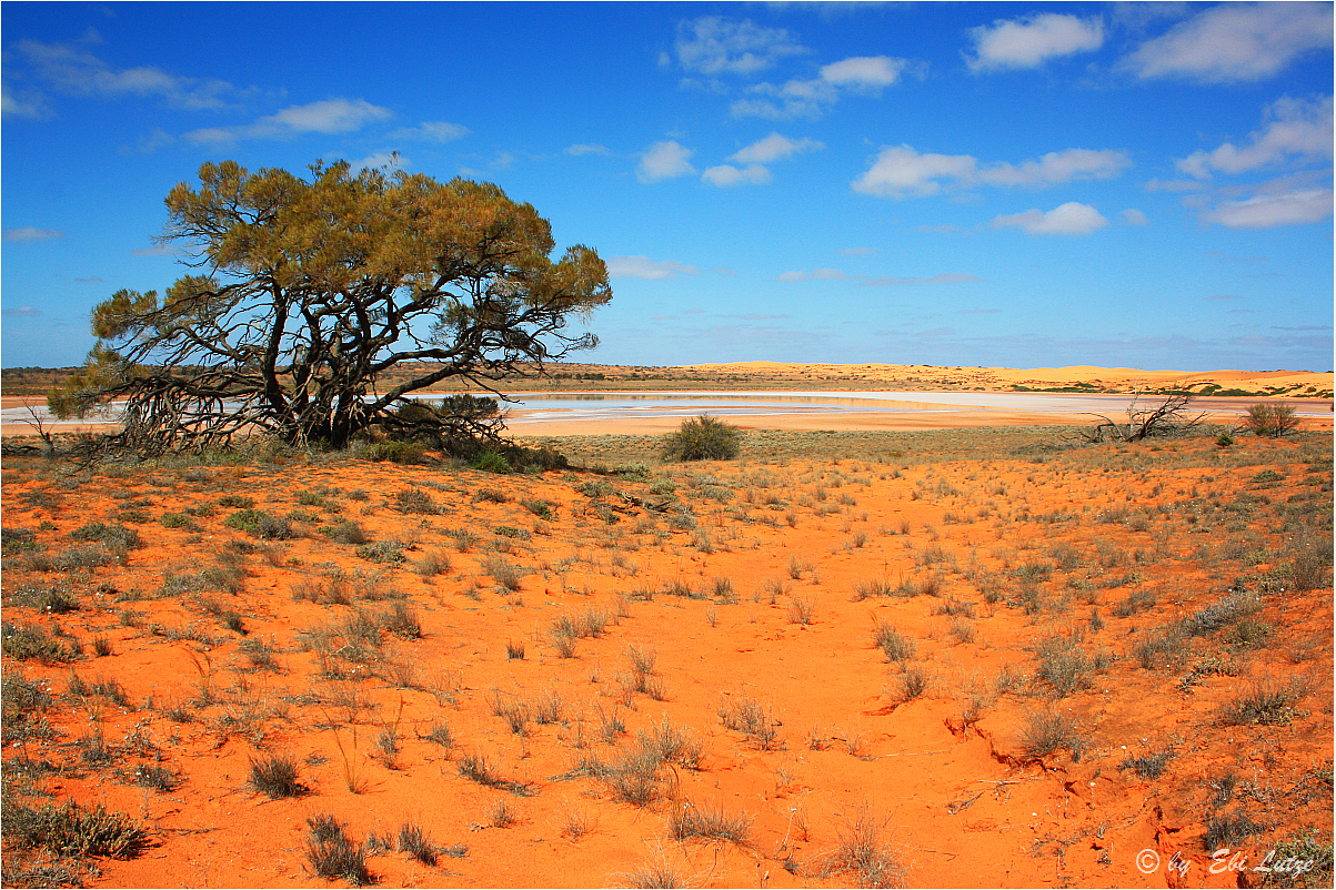 *** Lake Everhard/Gawler Ranges and Desert ***