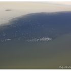 ** Lake eyre once full again **