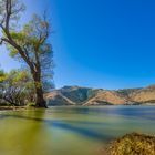 Lake Forsyth Lake Wairewa Canterbury New Zealand