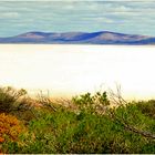 *** Lake Gairdner ***