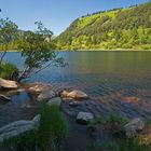 Lake Glendalough