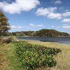 Lake Harris / Central Florida