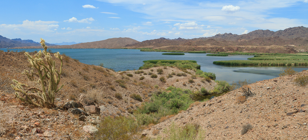 Lake Havasu