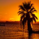 Lake Havasu Sunset