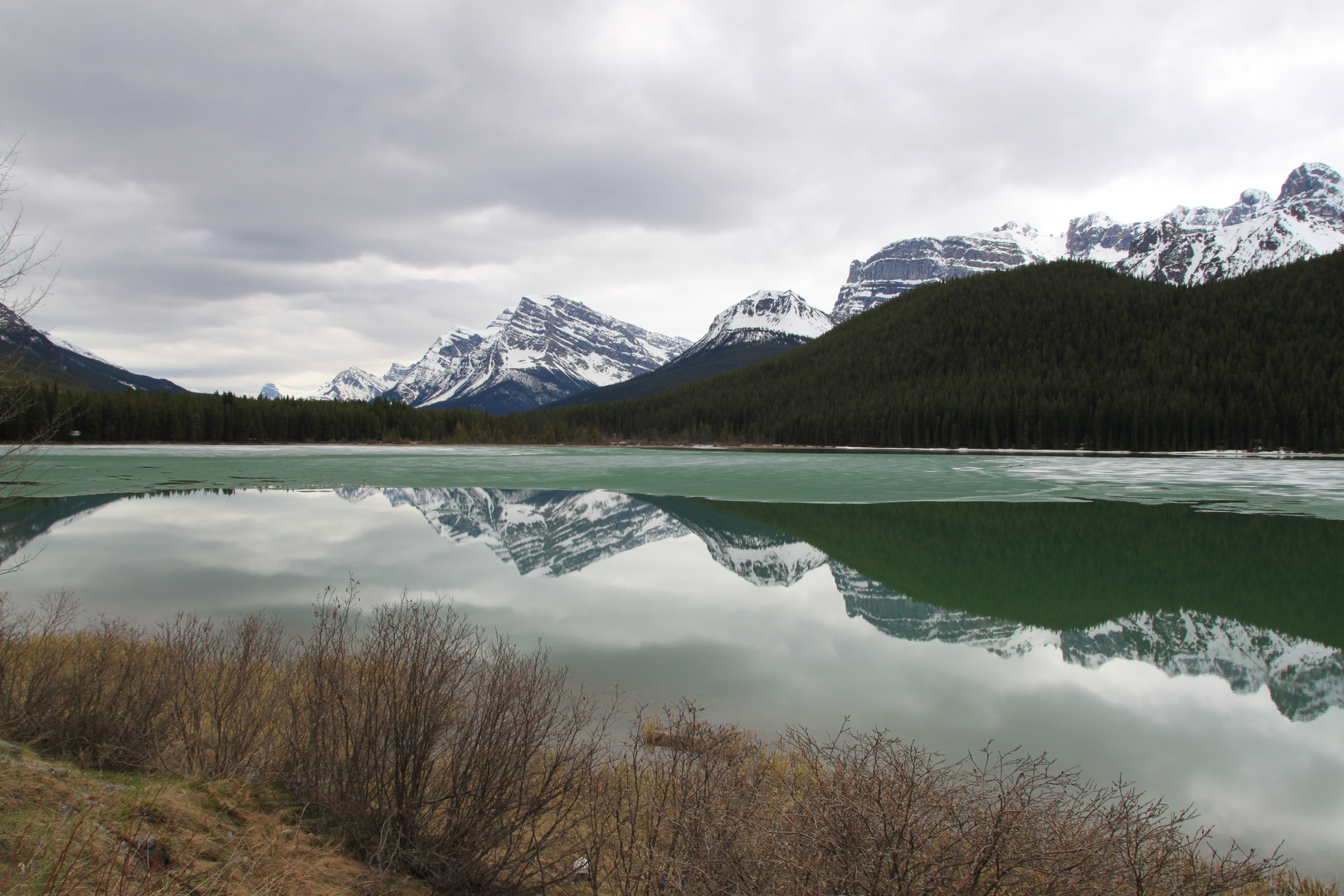 Lake Herbert