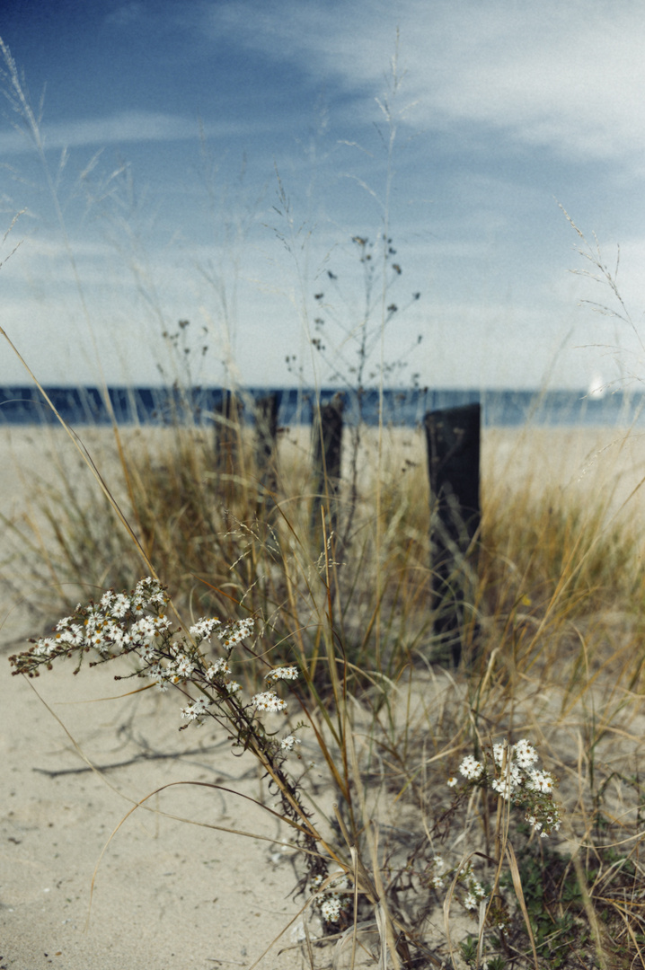 Lake Huron