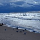 Lake Huron in magic light