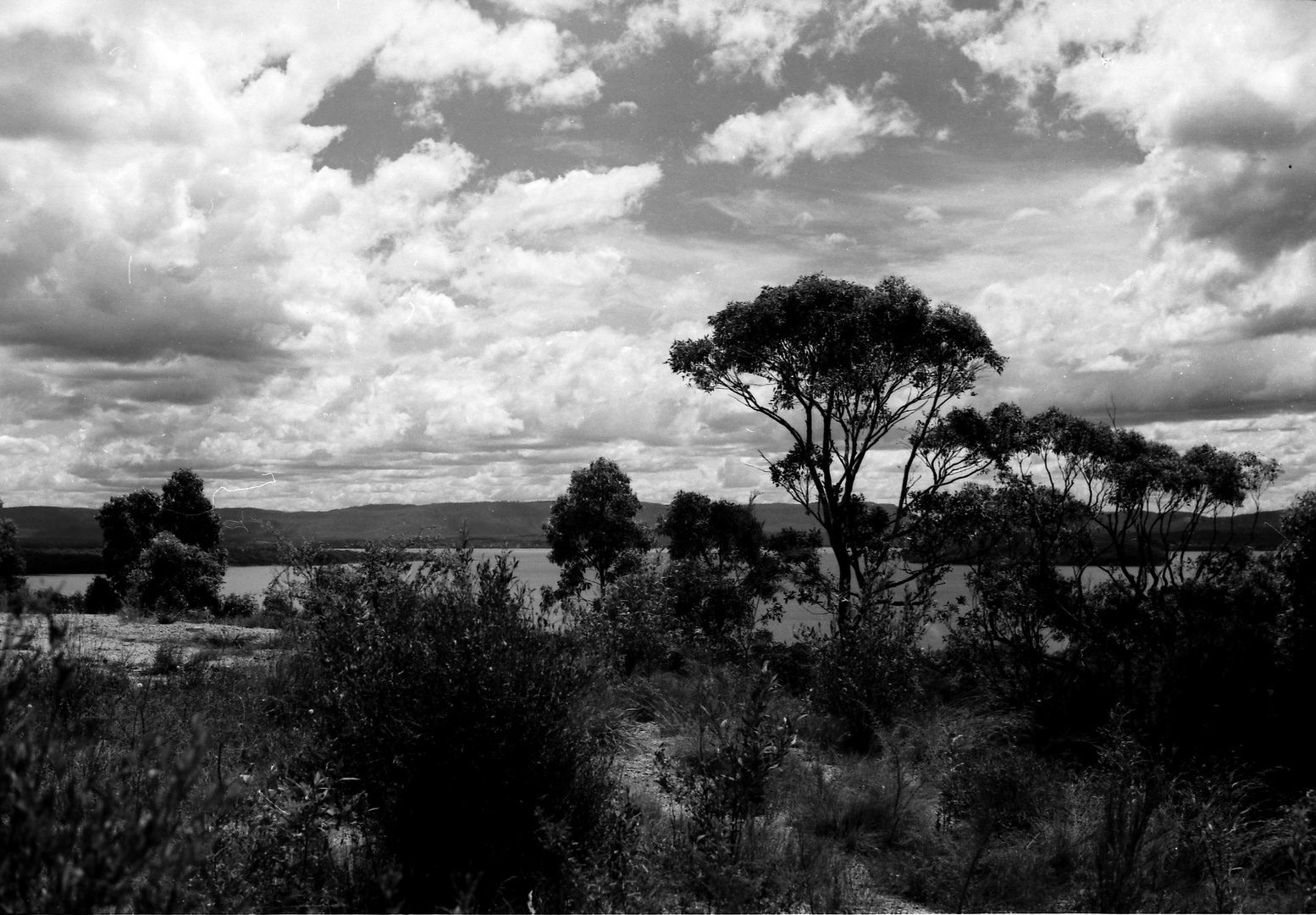 Lake Illawarra 