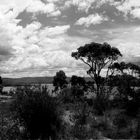 Lake Illawarra 