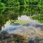 lake in Destelbergen near Ghent Belgium