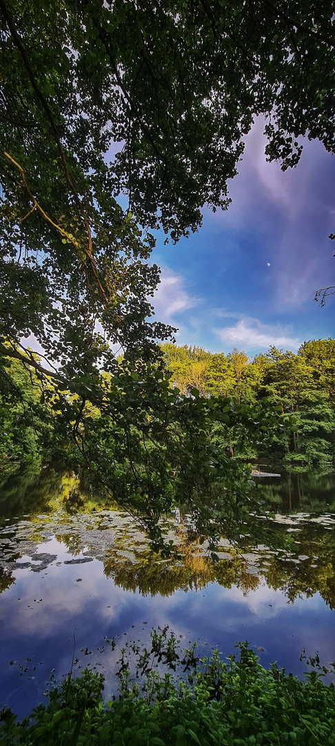 lake in Destelbergen near Ghent Belgium