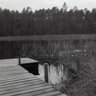 Lake in Finland