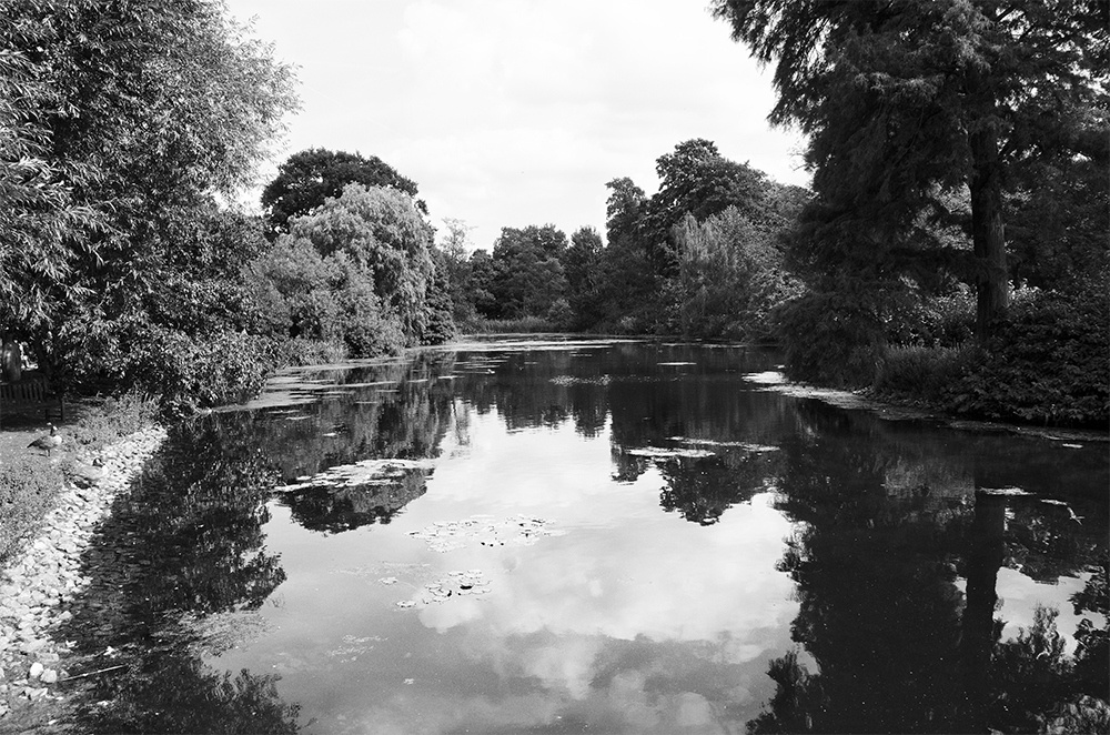 Lake in Kew Gardens 2