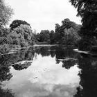 Lake in Kew Gardens 2