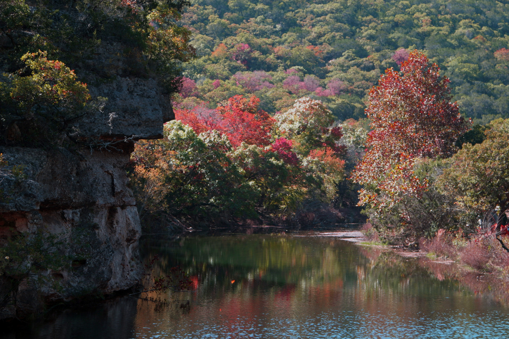 Lake in Lost Maples Texas