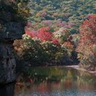 Lake in Lost Maples Texas