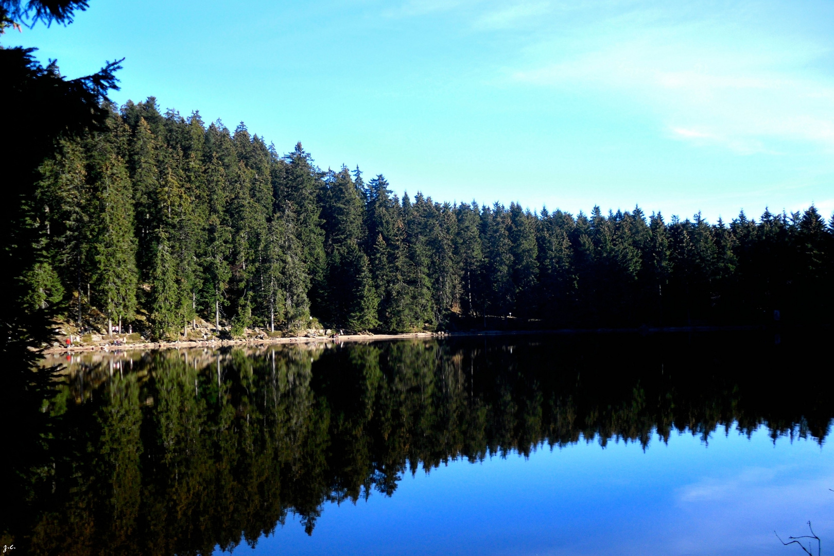 Lake in middle of the Black Forest