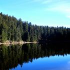 Lake in middle of the Black Forest