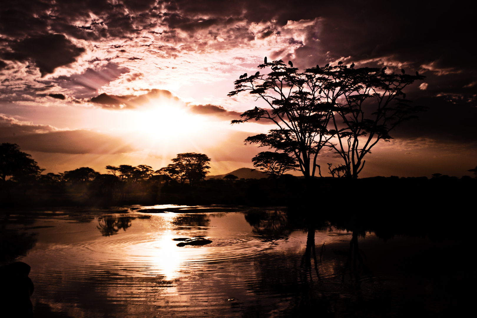 Lake in Serengeti