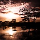 Lake in Serengeti