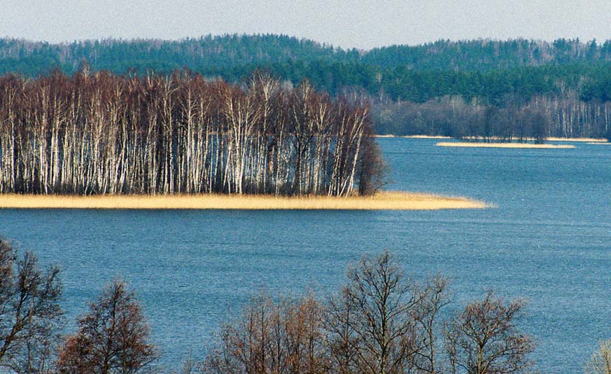 Lake in spring