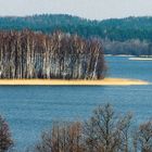 Lake in spring