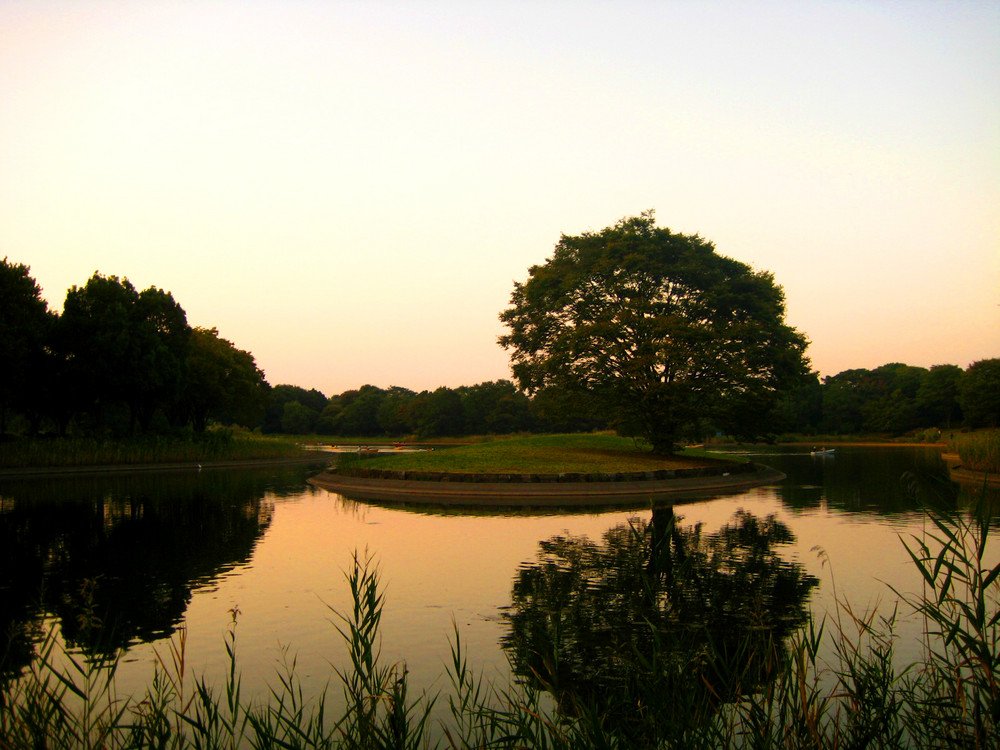 Lake in Tachikawa