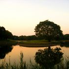 Lake in Tachikawa