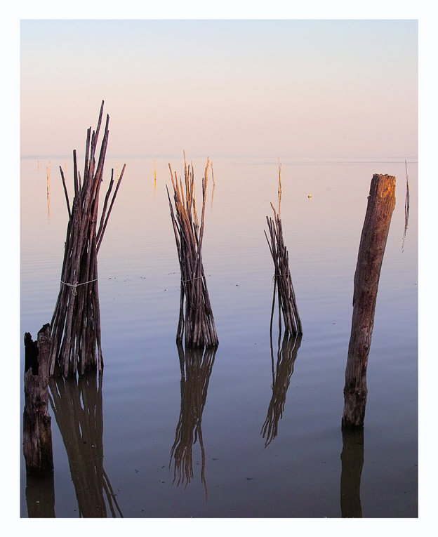 Lake in the early morning