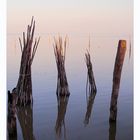 Lake in the early morning