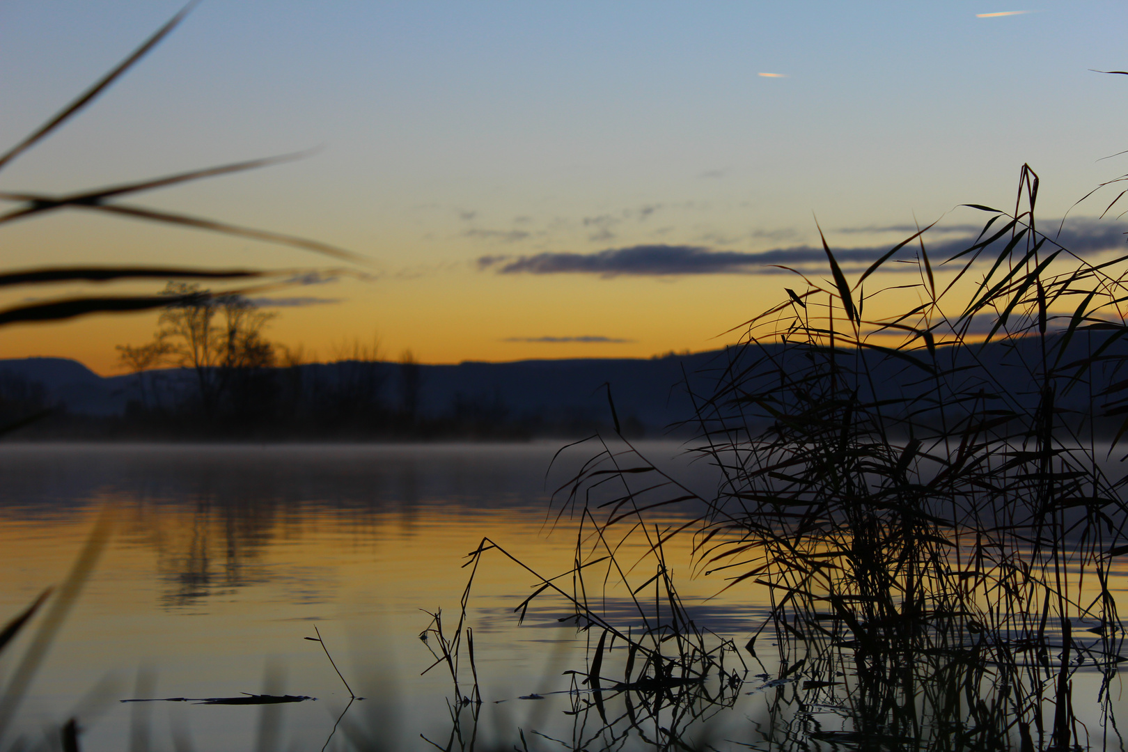 Lake in the morning light
