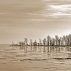 Lake in the rain