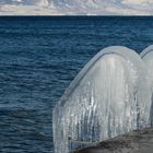 Lake in winter