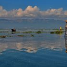 Lake Inle Fischer