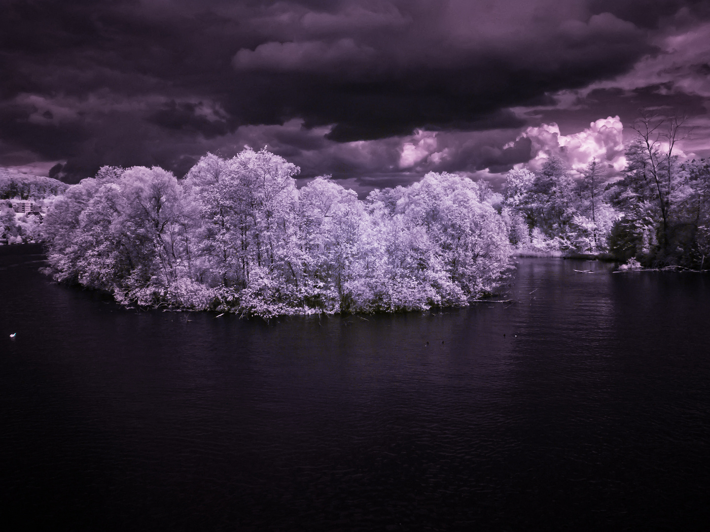 Lake island infrared in Purpel