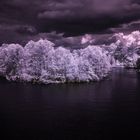 Lake island infrared in Purpel