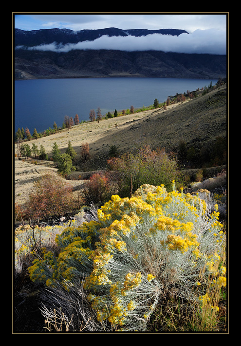 [ Lake Kamloops ]