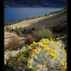 [ Lake Kamloops ]