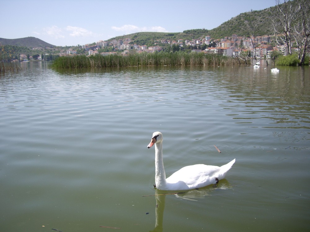 Lake Kastoria