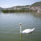 Lake Kastoria