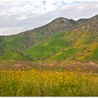 Lake Kaweah